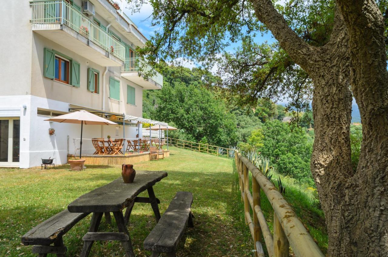Drius Edode - B&B Affittacamere Torraca Exterior foto